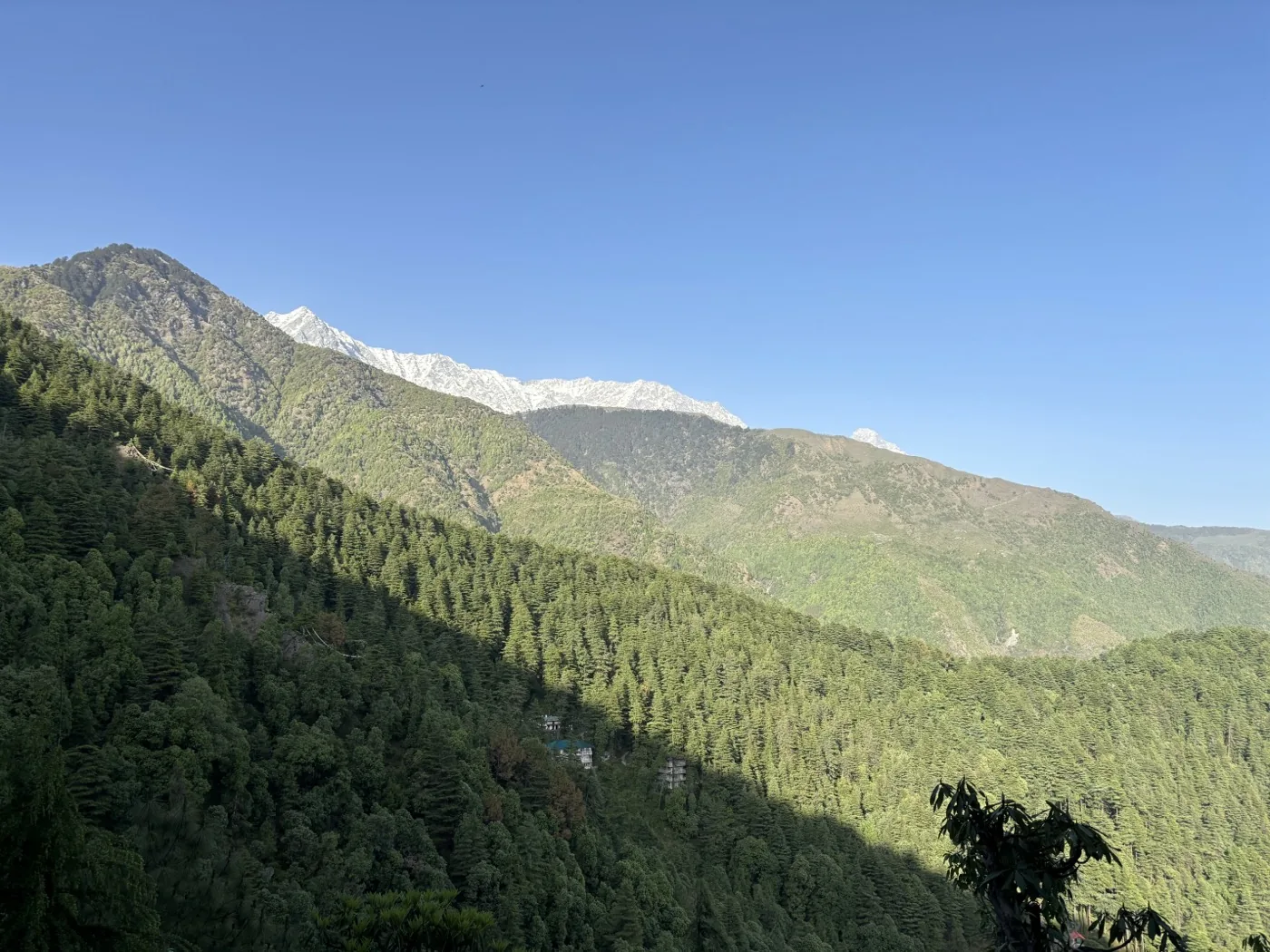 The Unmad café, Dharamkot — coffee and valley view